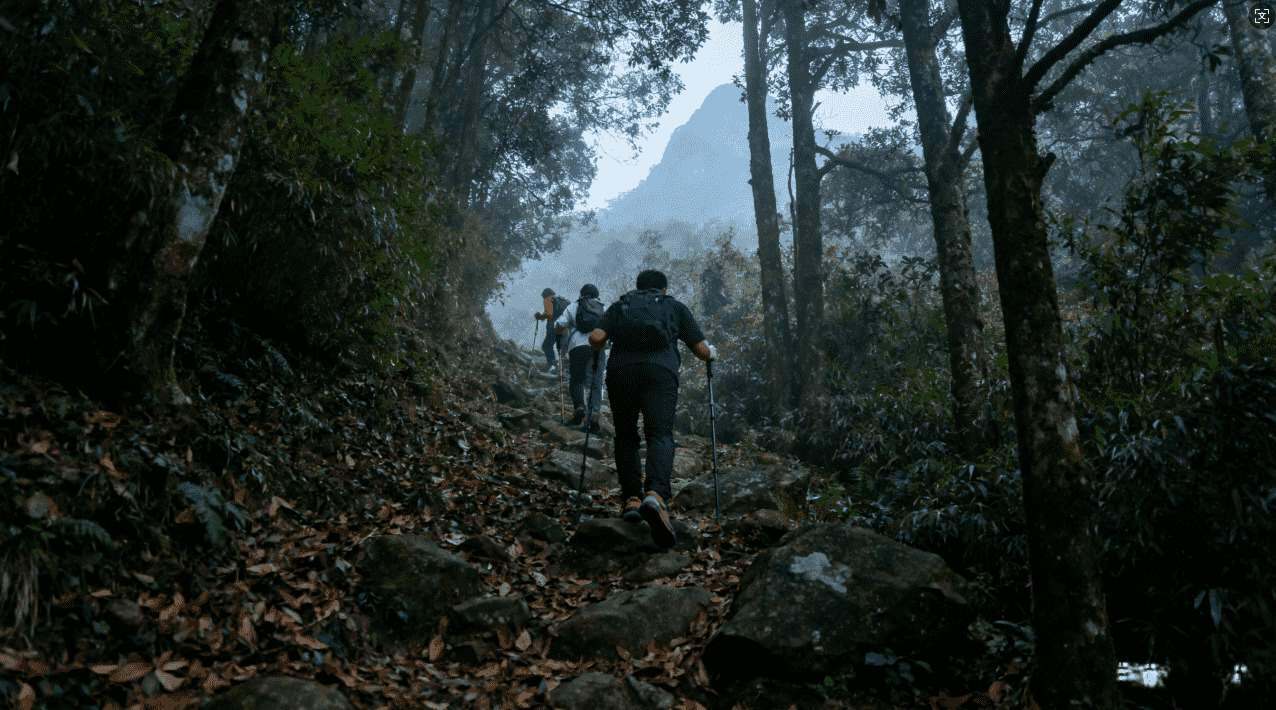 如何通过Ins加速器顺利登录Ins平台指南